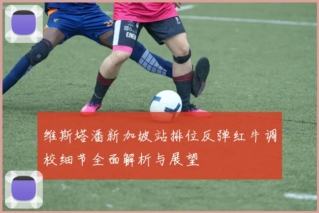 维斯塔潘新加坡站排位反弹红牛调校细节全面解析与展望